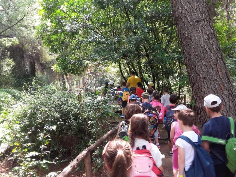 13ο Καλλιτεχνικό SUMMER CAMP -Μορφές Έκφρασης